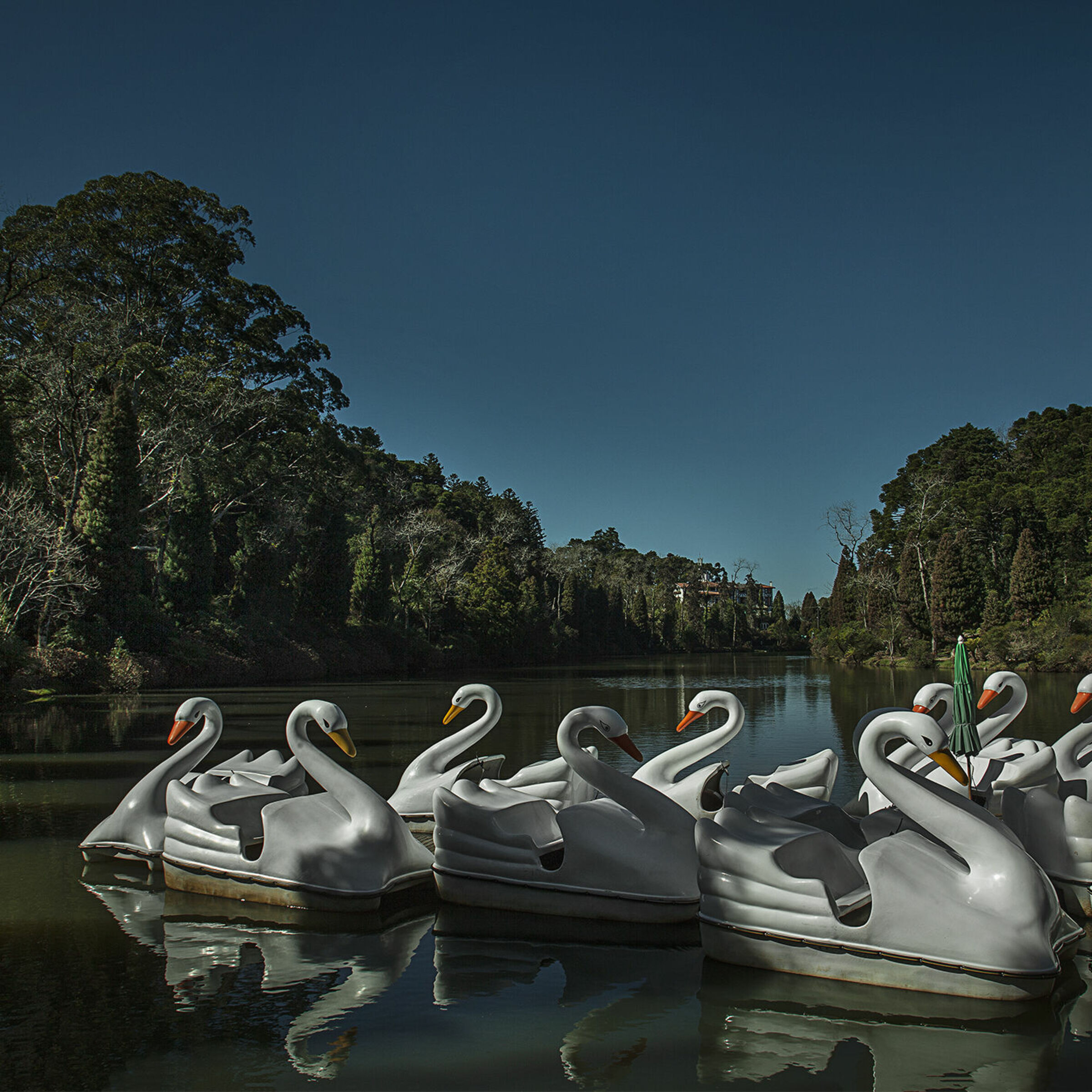 Foto de Adriano Gonçalves 37