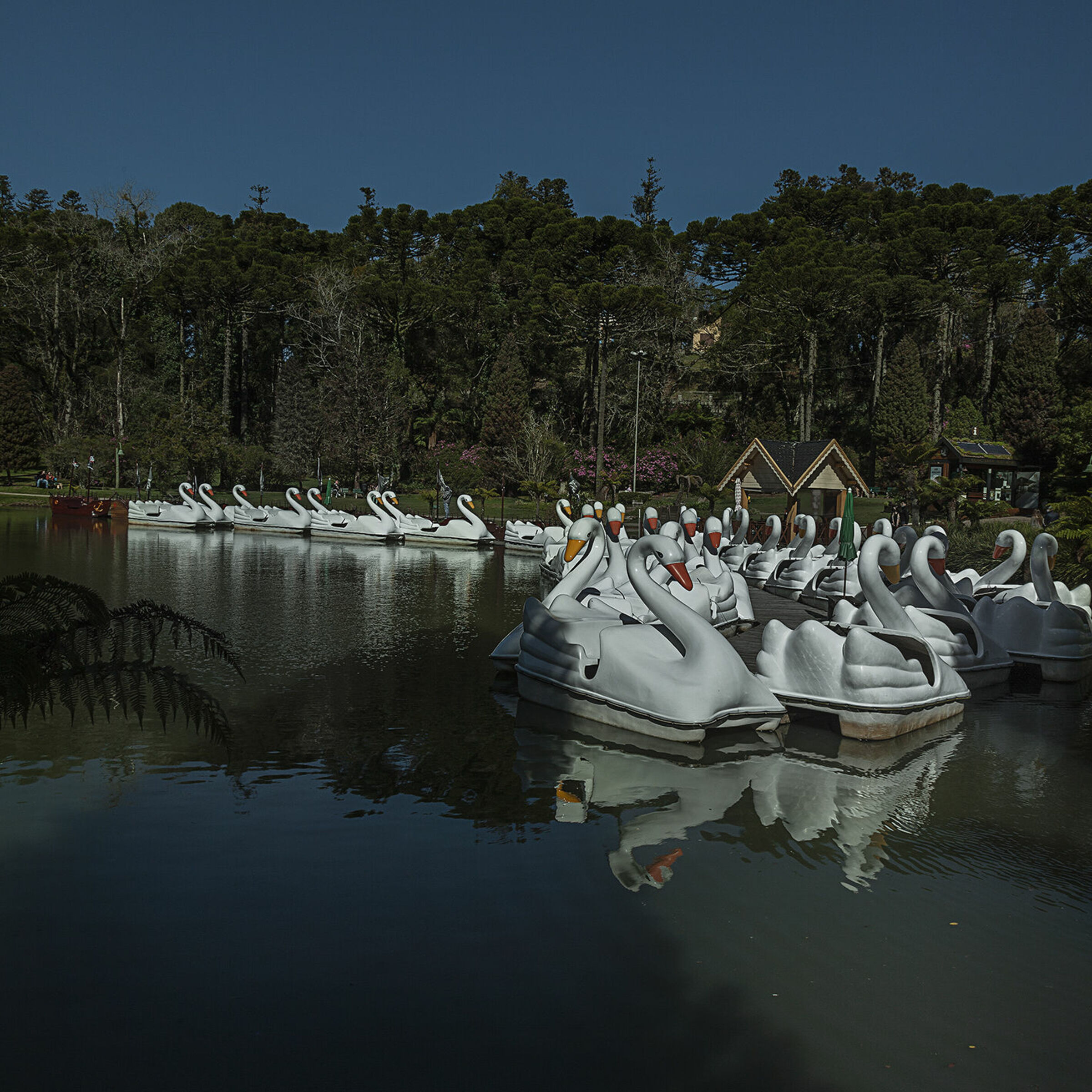 Foto de Adriano Gonçalves 33